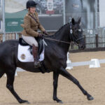 AEA Equestrian UKAF Dressage Championships - Weston Lawns