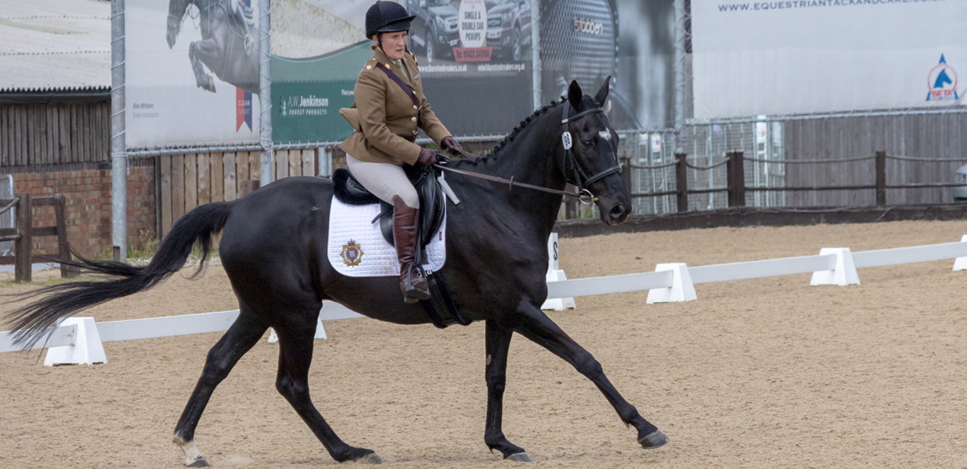 AEA Equestrian UKAF Dressage Championships - Weston Lawns