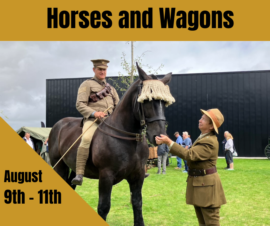 Horses and Wagons - A WW1 Living History Event